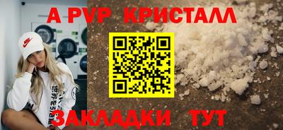 стаф Бузулук